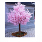 Arbre cerisier Rose 270cm