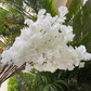 Branche de cerisier Blanc 102cm x 10 pièces