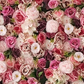 Mur floral mélange de Roses 60x40cm