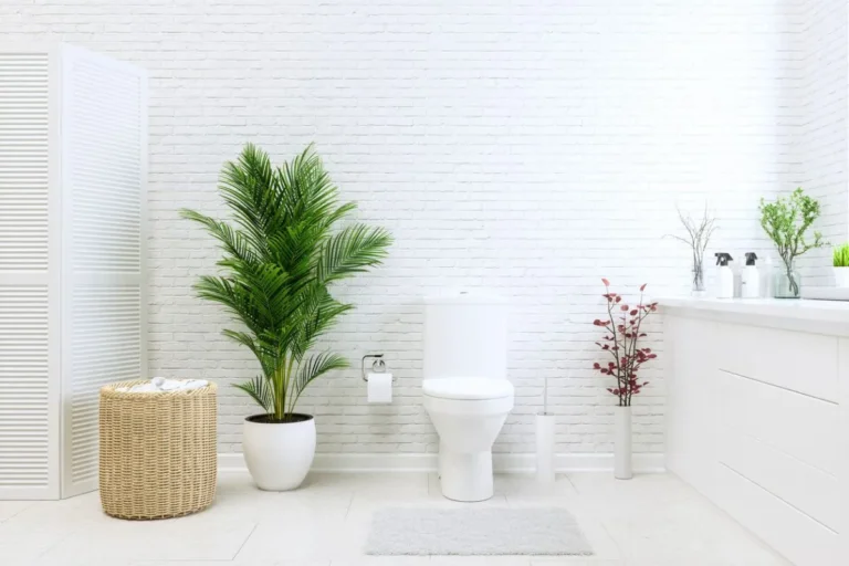 astuce insolite pour des toilettes impeccables